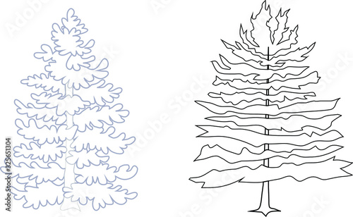 two fabulous spruce trees on a white background