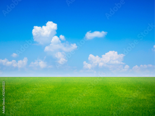 empty green grass field with blue sky and white clouds with shape heart in the gardening and landscape shot photo use for design display product background concept.