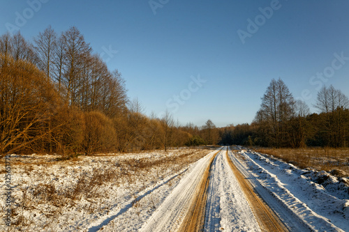 winter forest country road on a clear day © makam1969