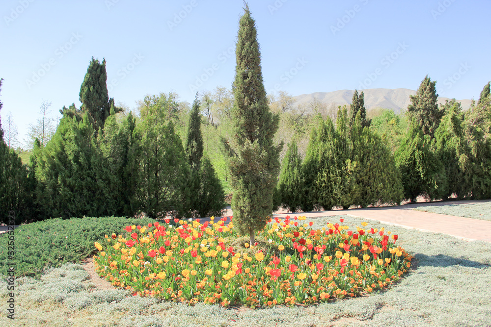 باغ گل در ایران flower garden in iran