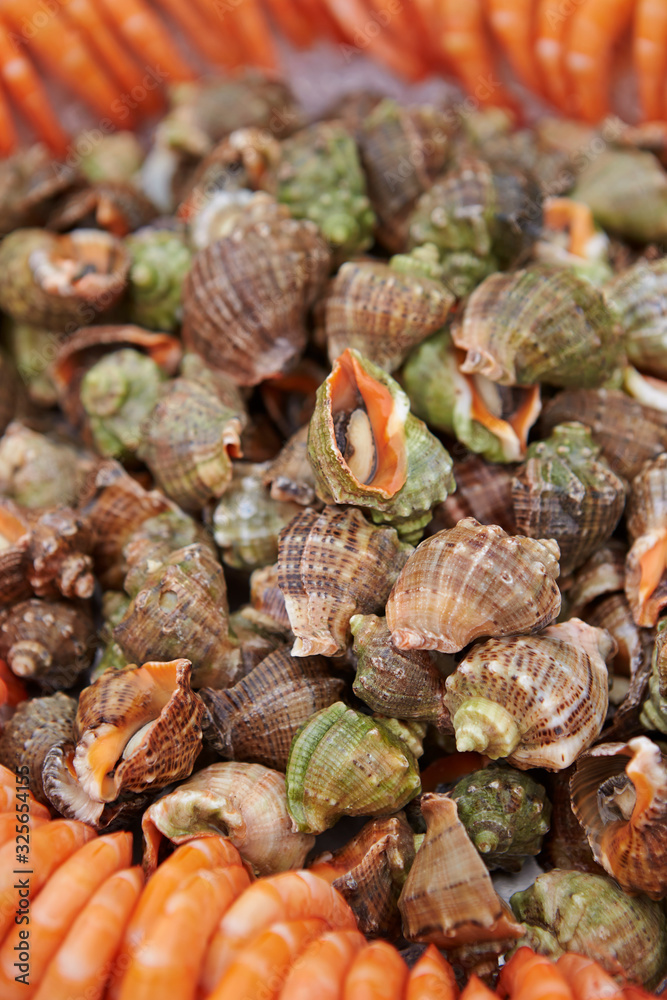 Boiled seashell and shrimp at buffet Boiled seashell and shrimp at buffet