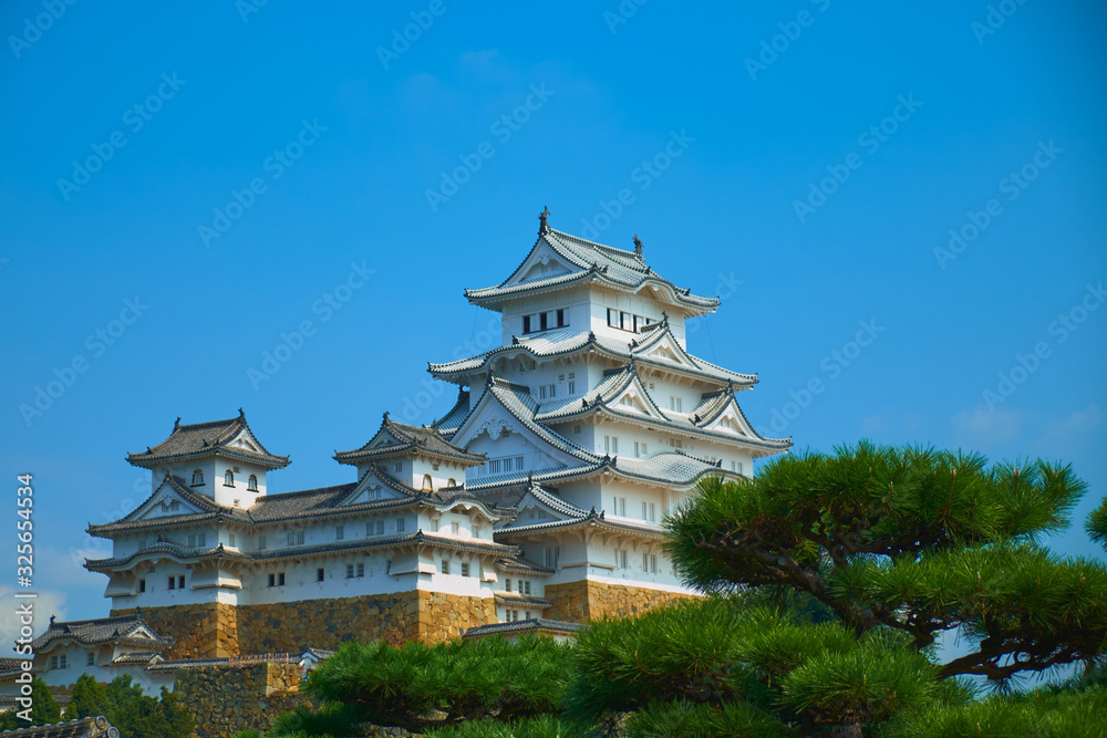 castle in japan