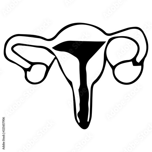 uterus in doodle style on an isolated white background. Women's hygiene and menstruation. Stock vector illustration.