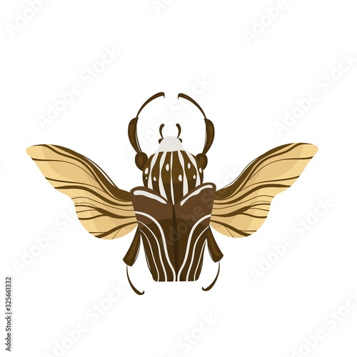 Goliath beetle. Goliathus cacicus vector hand drawn illustration.