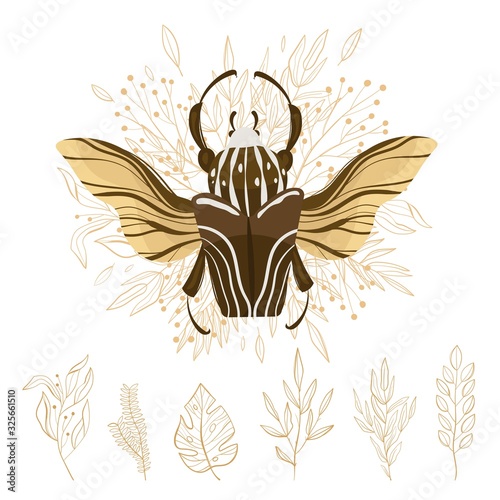Goliath beetle. Goliathus cacicus vector hand drawn illustration.