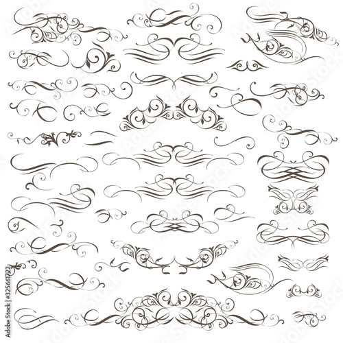 Big collection of vector decorative flourishes and swirls for design