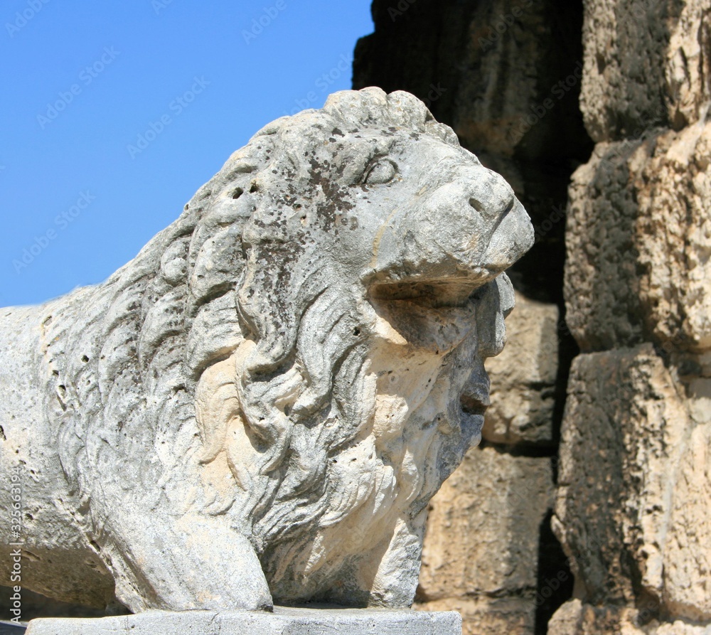 ancient stone lion in the coliseum of Pula, Croatia
