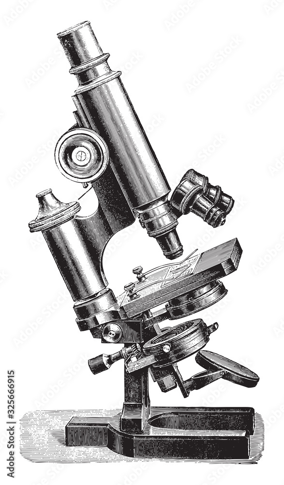Old microscope / vintage illustration from Brockhaus Konversations-Lexikon  1908 Stock Vector | Adobe Stock