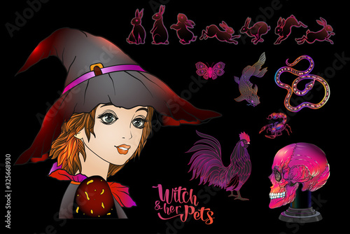 Young woman witch with her mystical pets and human skull. Clip art, Set of elements for design. Colored vector illustration.