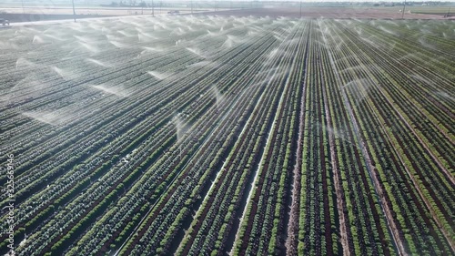 Aerial view of active irrigation sprinklers in broccoli field in early morning – Yuma Arizona