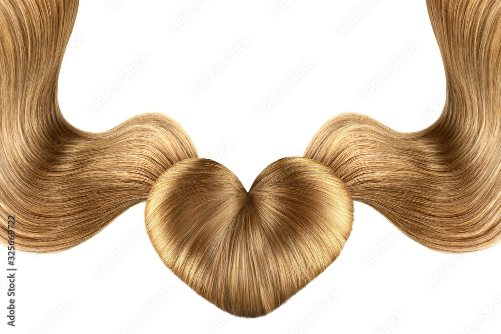 Hair heart on white, isolated. Brown doughnut bun Hair heart on white, isolated. Brown doughnut bun