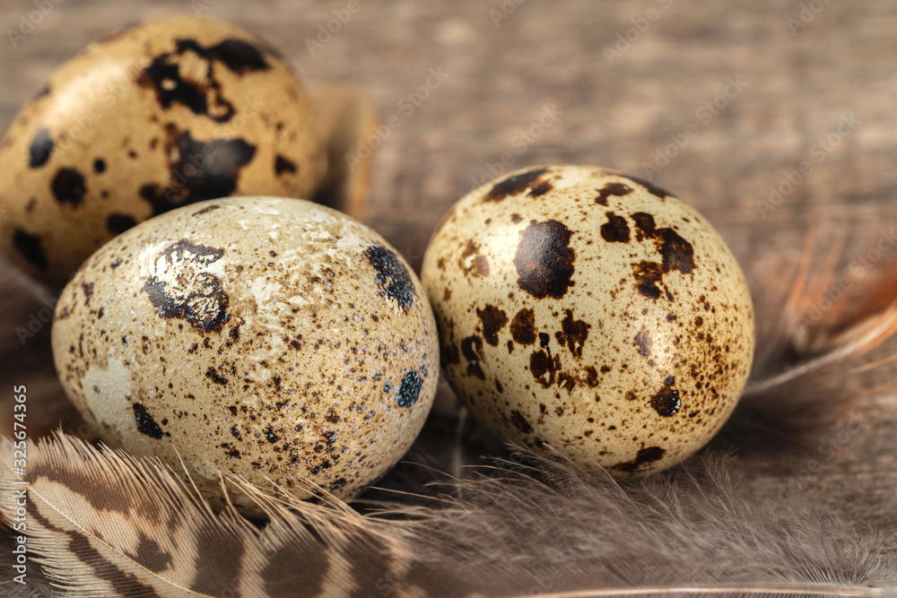 Obraz premium Quail eggs on a wooden table