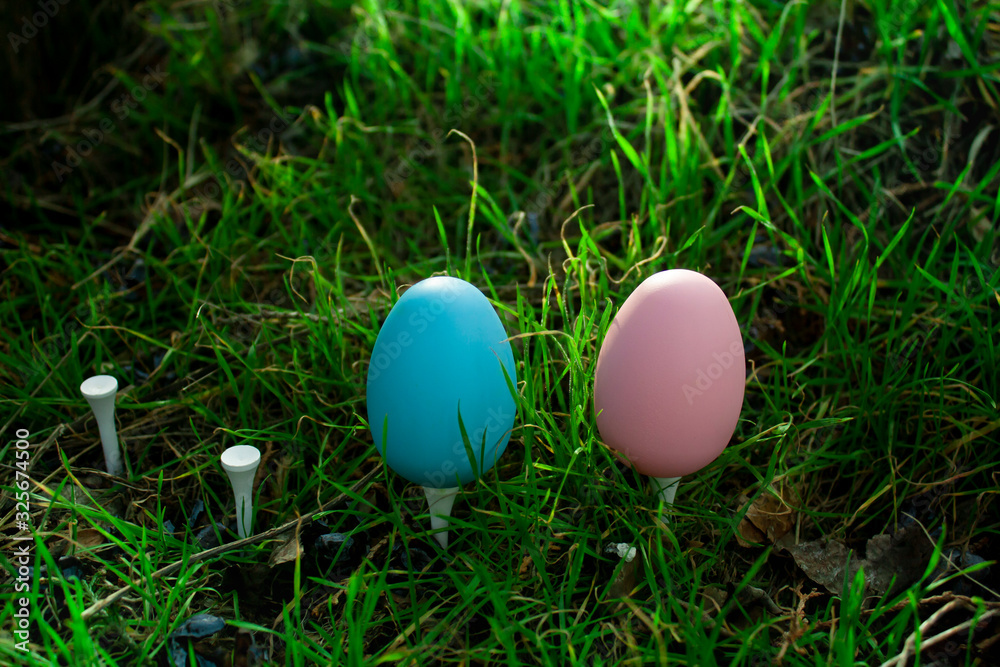 two Easter colored eggs in pink and blue stand on white small stands on the grass. Easter background. Easter decoration.