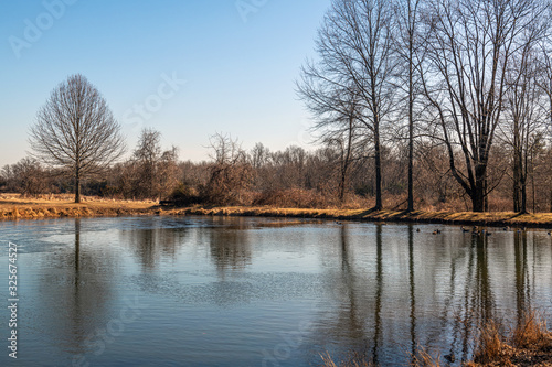 Winter Reflections