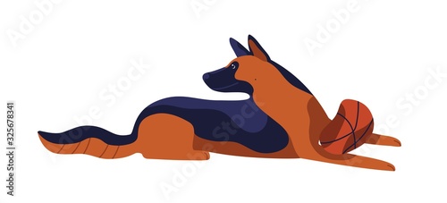 Playful cartoon german shepherd dog breed colored vector flat illustration. Lying cute brown and black domestic animal isolated on white background. Cheerful clever pet playing with ball