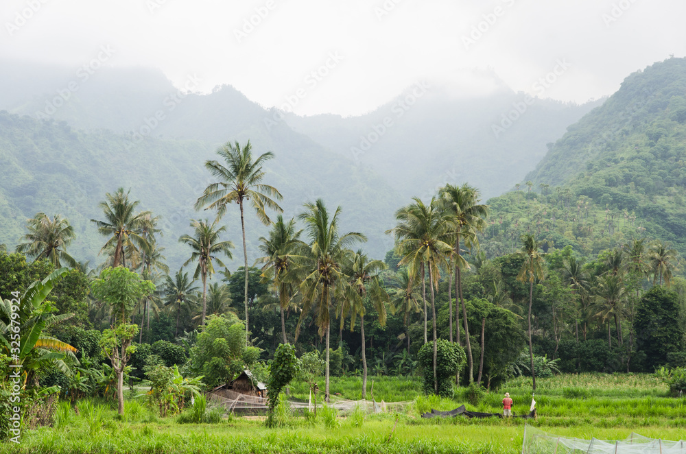 Personas en un paisaje de Bali con palmeras y montañas