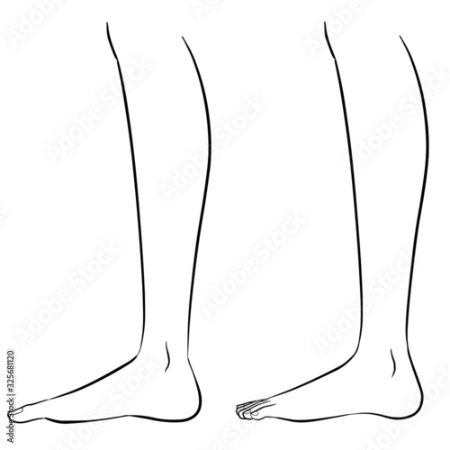 Human body parts. Vector illustrations line art of human feet.
