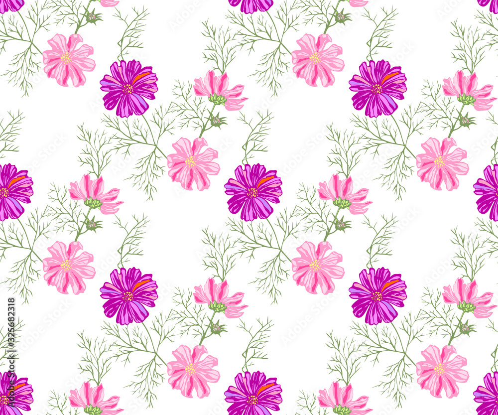 Seamless floral pattern with Cosmos bipinnatus. Hand drawing decorative background. Vector pattern. Print for textile, cloth, wallpaper, scrapbooking Seamless floral pattern with Cosmos bipinnatus. Hand drawing decorative background. Vector pattern. Print for textile, cloth, wallpaper, scrapbooking