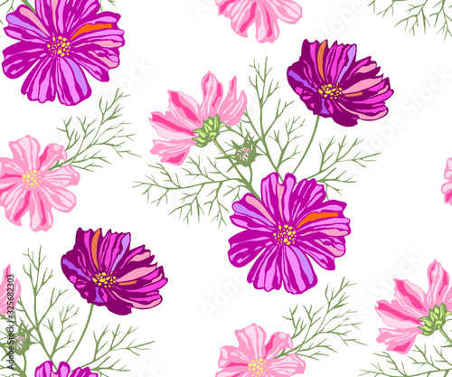 Seamless floral pattern with Cosmos bipinnatus. Hand drawing decorative background. Vector pattern. Print for textile, cloth, wallpaper, scrapbooking
