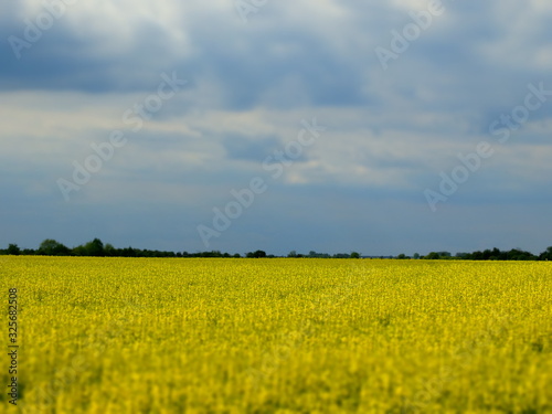 Ukraine landscape