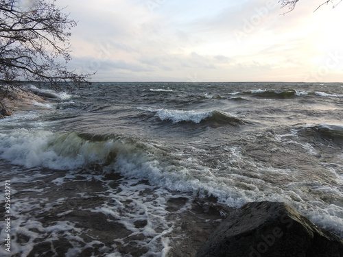 Pamprinniemi