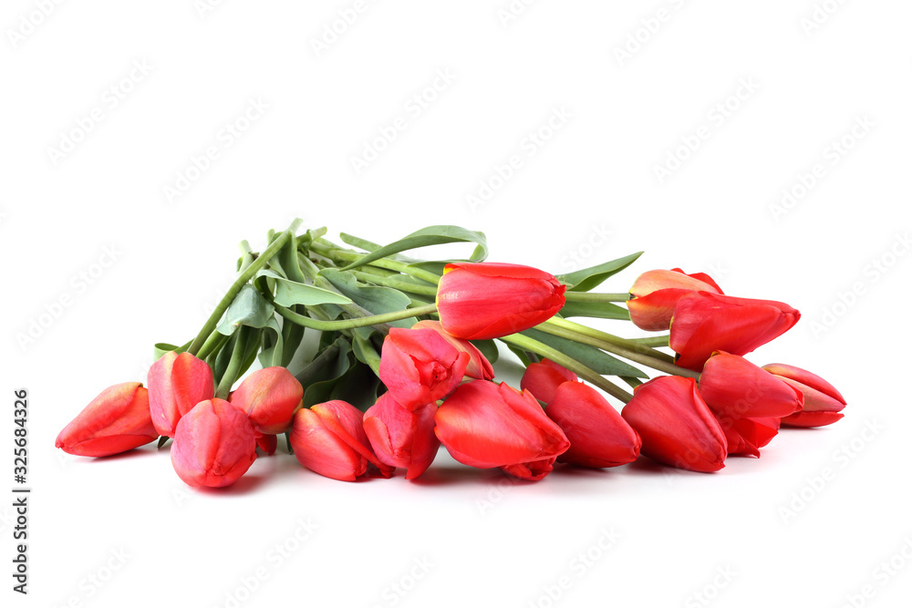 Red tulips isolated on white