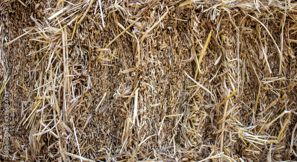 canted hay harvested in large briquettes, food for cattle for winter