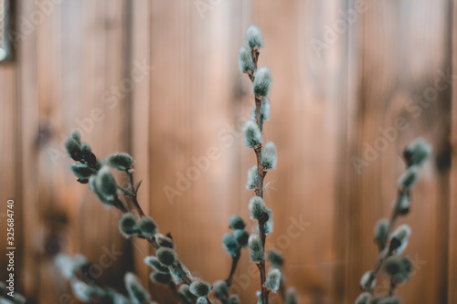 Cute willow branches on wooden table flat lay view, Hello Spring concept, tree branch close-up