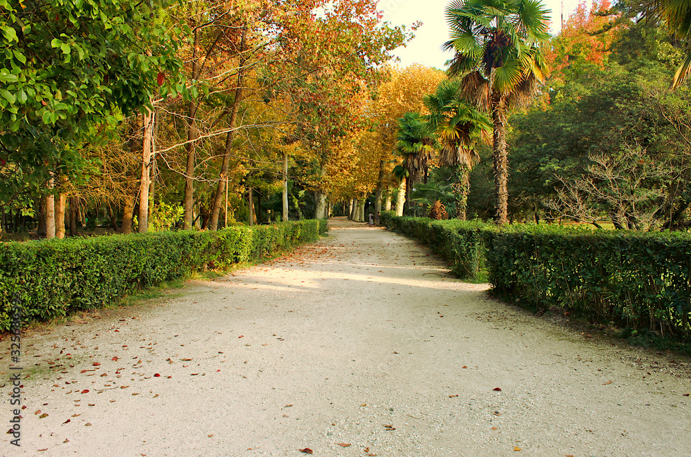 Old park in the fall. Gagra, Abkhazia
