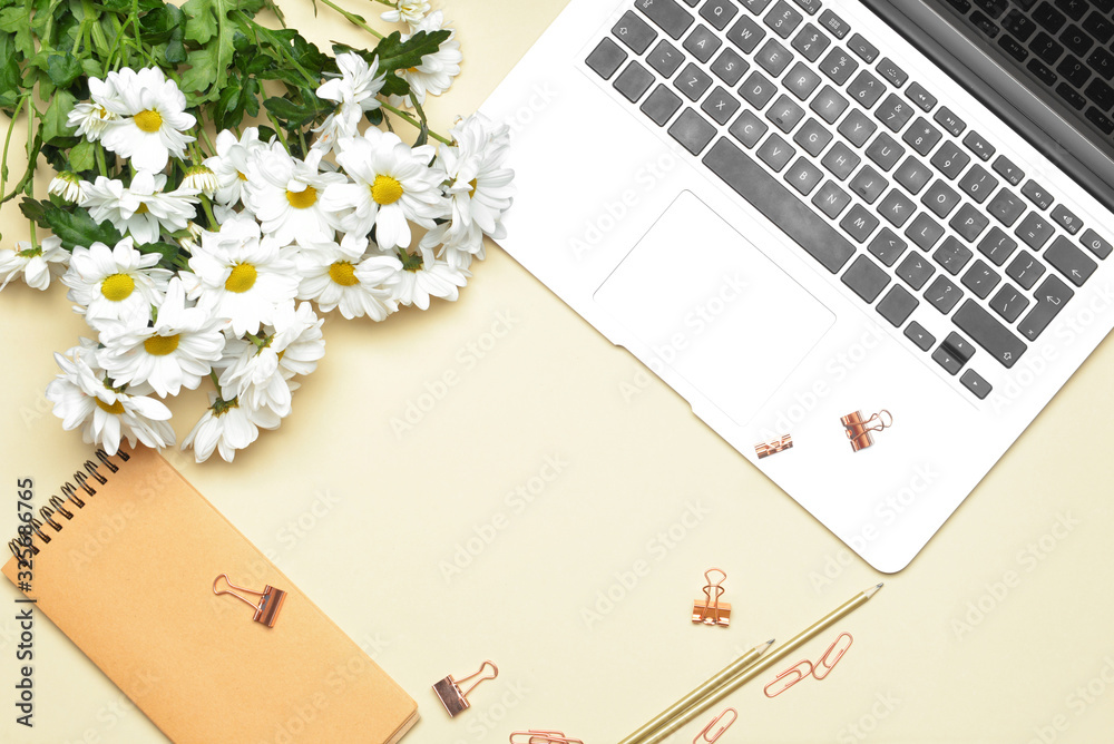 Set of school supplies with laptop and flowers on color background Set of school supplies with laptop and flowers on color background