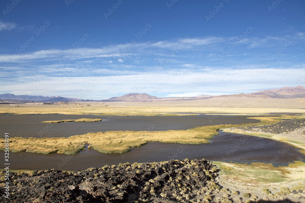 Lagoon near the Pucara de La Alumbrera at the Puna de Atacama, Argentina