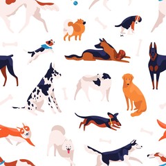 Keuken achterwand Honden patronen Verschillende hondenrassen vrolijk patroon  © Good Studio