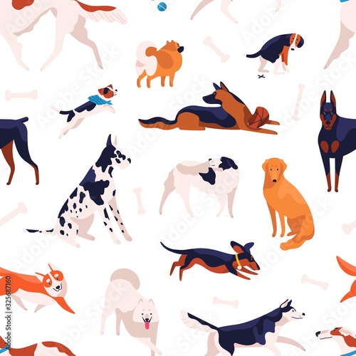 Various domestic doggy breeds seamless pattern. Different cute purebred dog posing, sitting, standing and playing isolated on white background. Adorable pet animal type vector flat illustration