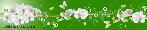 white butterflies and orchids on green stripe