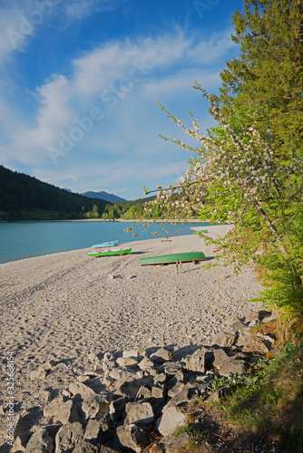 beautiful gravel beach with boats, lake walchensee bavaria. blooming apple tree in spring photo