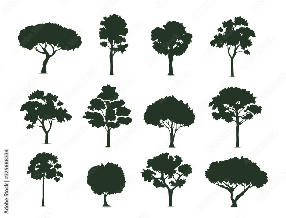 Fototapeta Trees silhouette on white background vector illustration EPS10