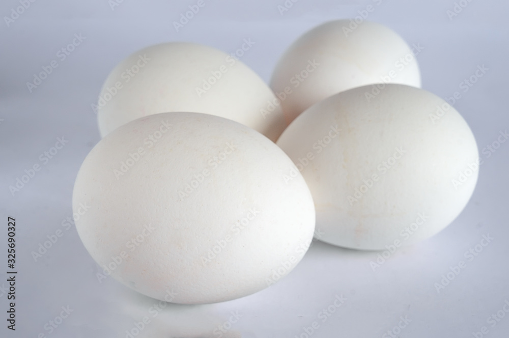 White chicken eggs close-up in slight defocus White chicken eggs close-up in slight defocus