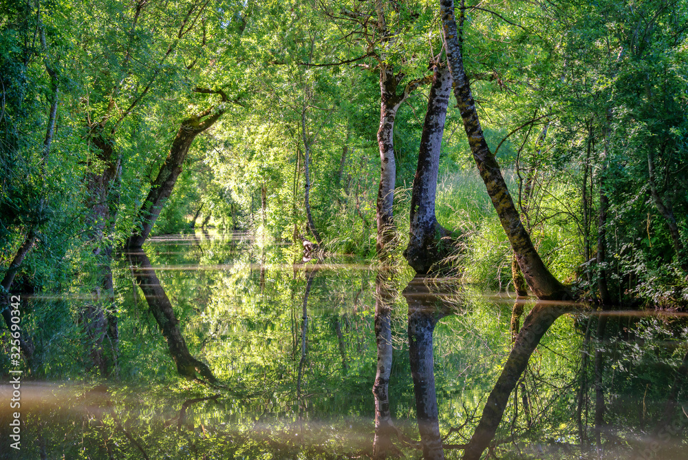 Φωτογραφία Water canal in the Green Venice in the Marais Poitevin, France