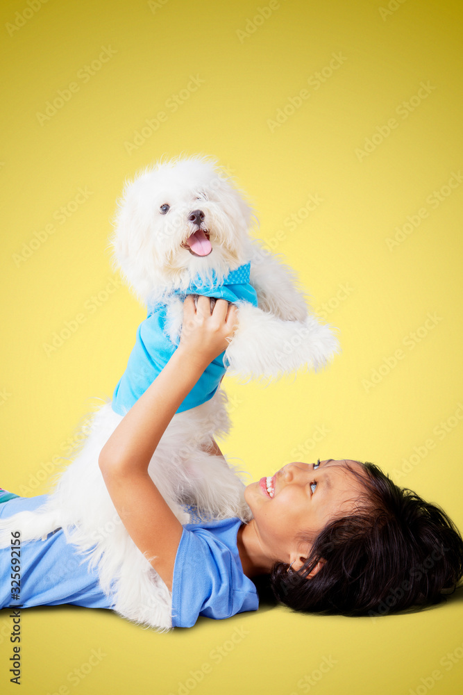 Girl lifting her white Bolognese dog playfully Girl lifting her white Bolognese dog playfully