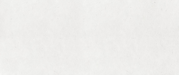 Old paper texture background. Banner