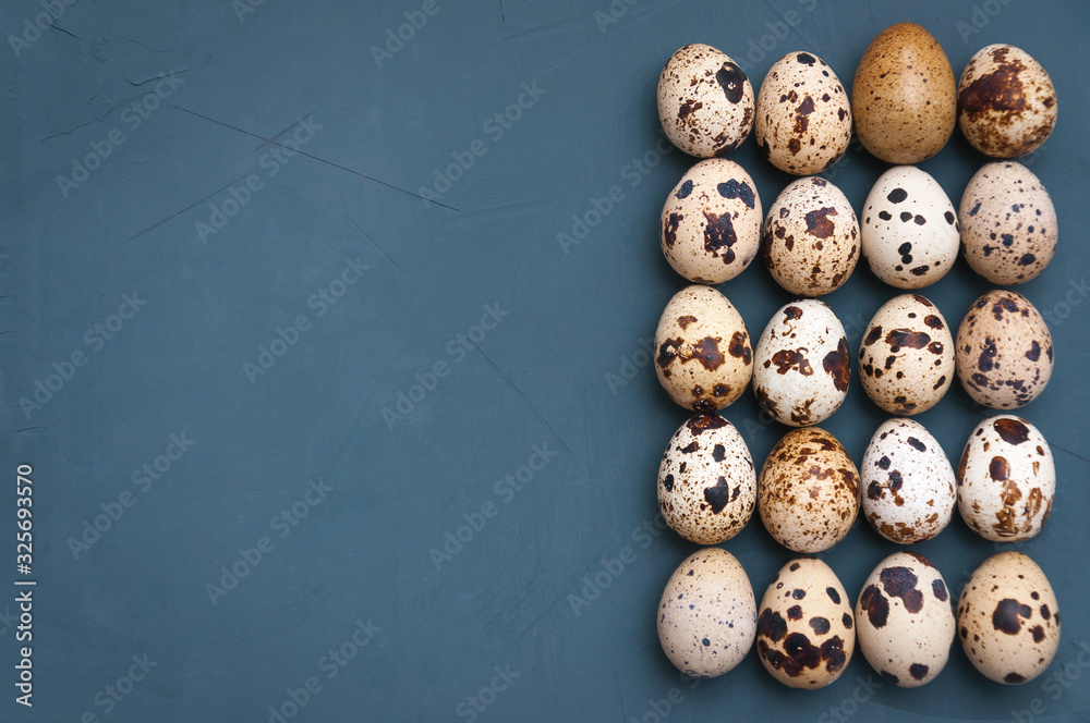 Four even rows of small quail Easter eggs on a dark blue grey background with copy space. Top view. Flat lay. Minimal concept of Easter holiday.