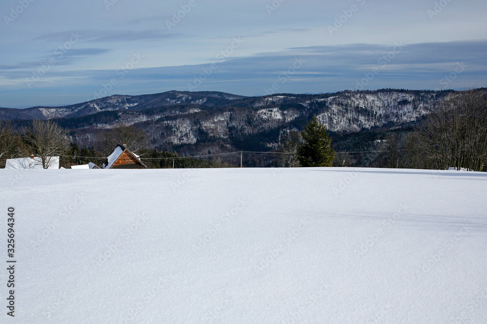 panoramic winter mountain landscape