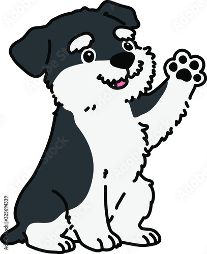 Outlined Miniature Schnauzer puppy sitting and waving hand
