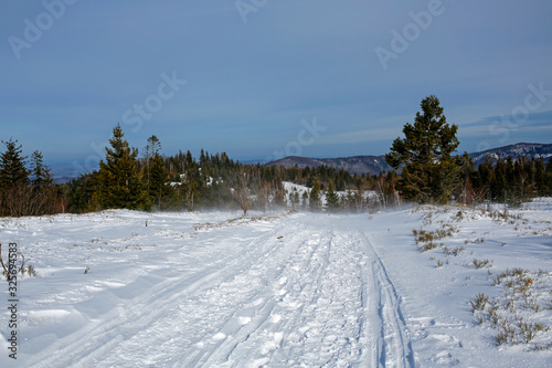 Fototapeta Naklejka Na Ścianę i Meble -  snow blizzard in the mountains at sunny day