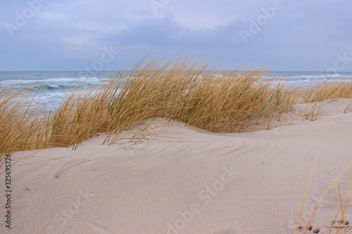 sand dunes on beach