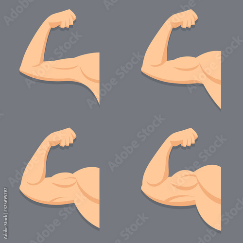 Strong arm with contracted biceps. Vector set with Isolated objects. Illustration of muscles in flat style. Gym logo.