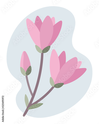 Isolated flat vector illustration of a magnolia branch with flowers on a light blue background