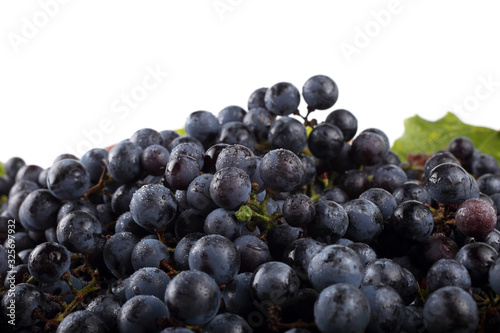 Wine grape on autumn leaves background