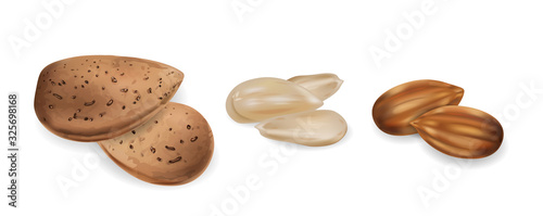 Almond nuts raw and peeled Vector realistic set. 3d detailed illustrations