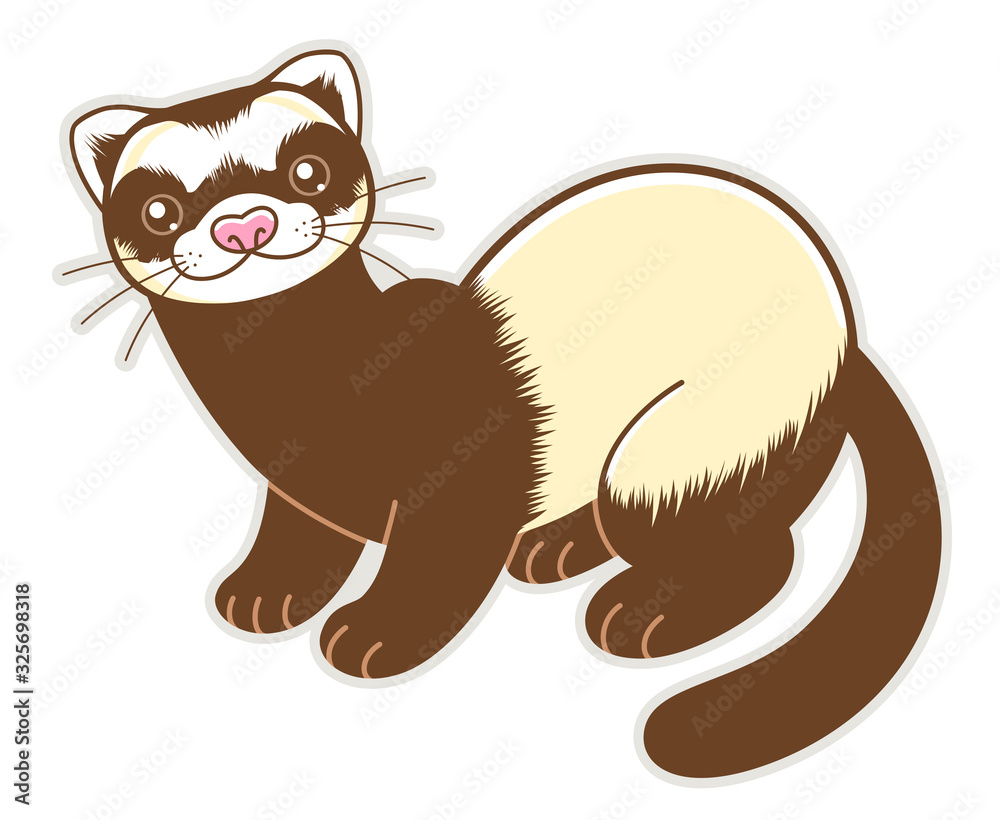 Cute cartoon ferret isolated on a white background Stock Vector | Adobe  Stock